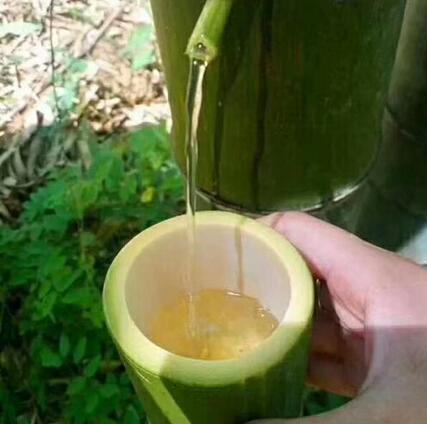 竹筒酒是什么香型